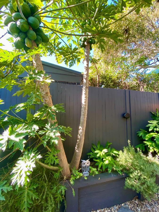 Апартаменты The Mitchell Bondi Garden 4 Сидней Экстерьер фото
